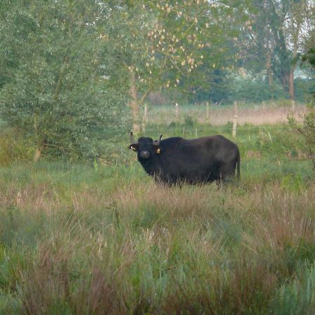 Landgasthof Vogt Bad Sassendorf Eksteriør billede