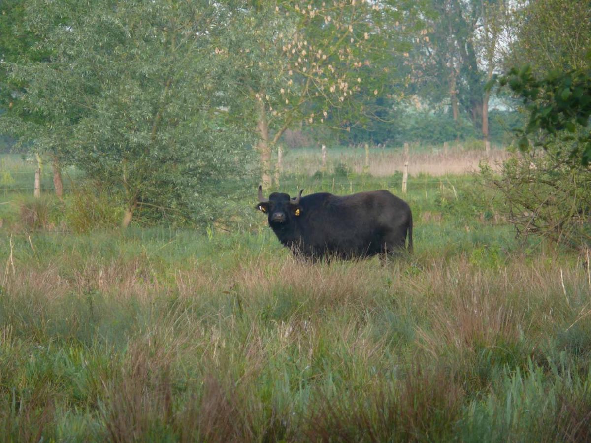 Landgasthof Vogt Bad Sassendorf Eksteriør billede