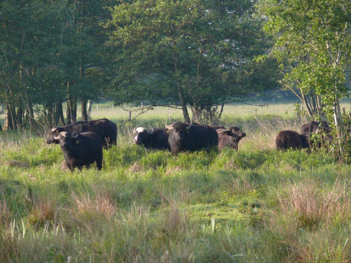 Landgasthof Vogt Bad Sassendorf Eksteriør billede